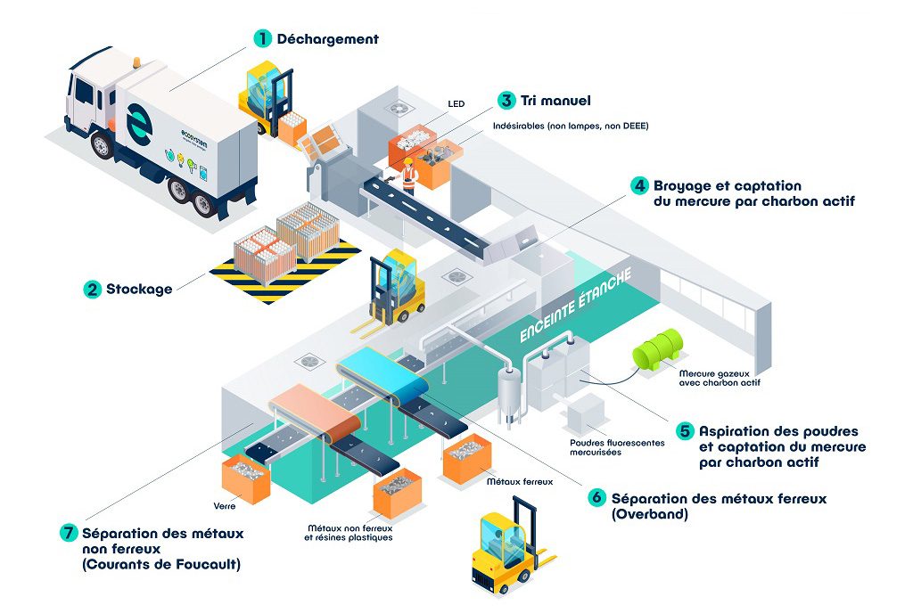 infographie le recyclage des ampoules